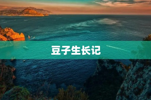 豆子生长记 豆子生长记