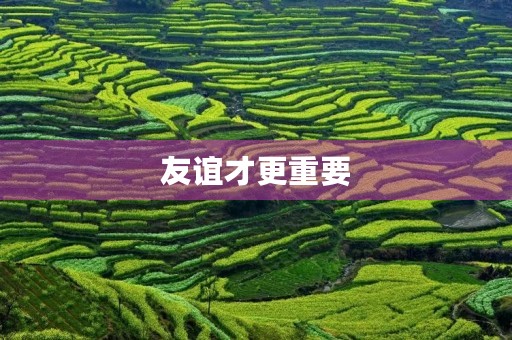 友谊才更重要 友谊才更重要