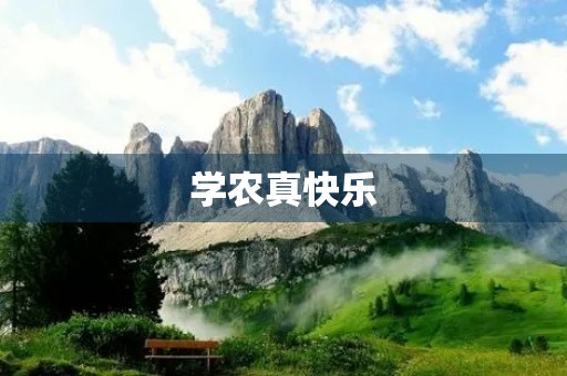 学农真快乐 学农真快乐