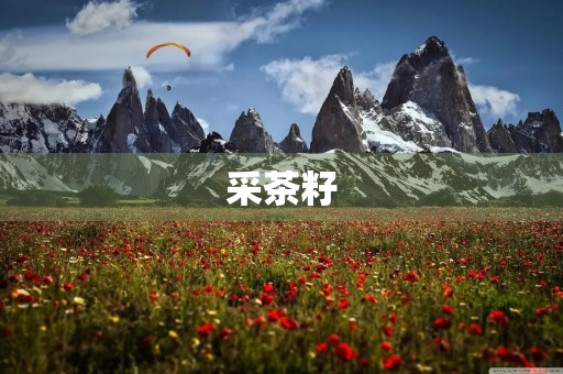 采茶籽 采茶籽