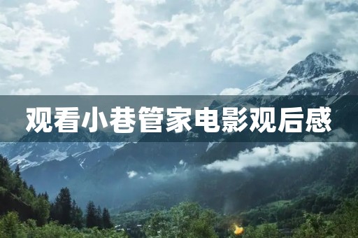 观看小巷管家电影观后感
