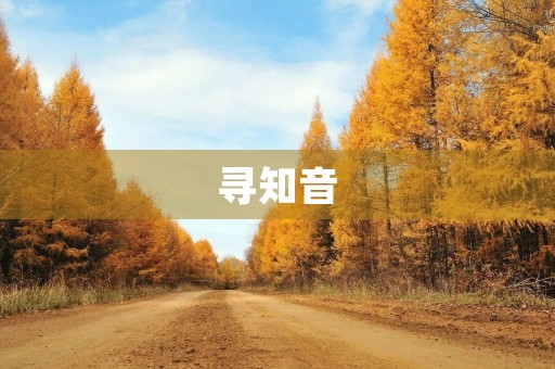 寻知音