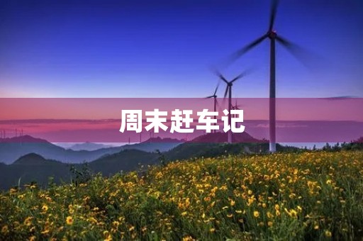 周末赶车记 周末赶车记