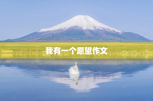 我有一个愿望作文 我有一个愿望作文