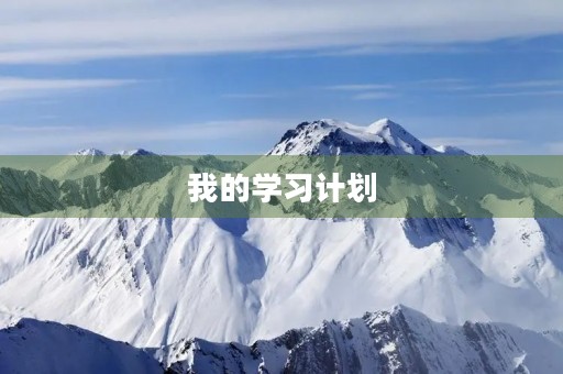 我的学习计划 我的学习计划