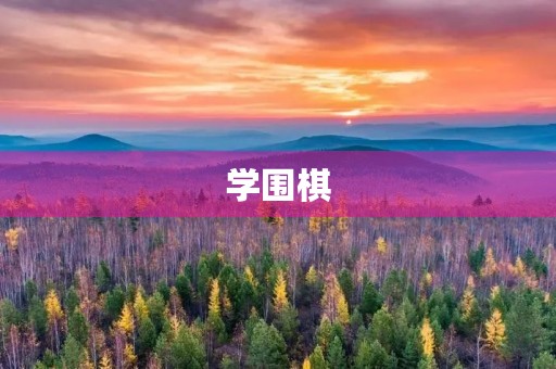 学围棋 学围棋