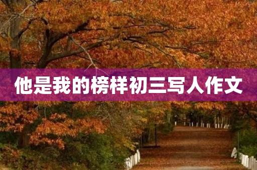 他是我的榜样初三写人作文