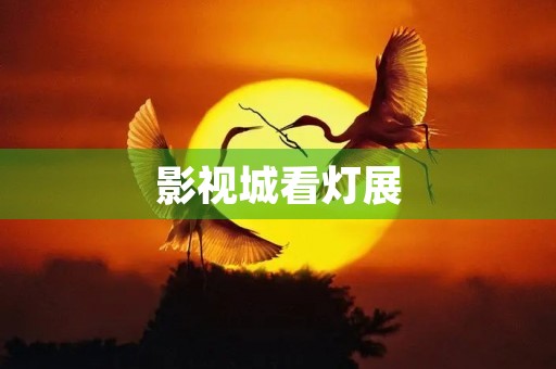 影视城看灯展 影视城看灯展
