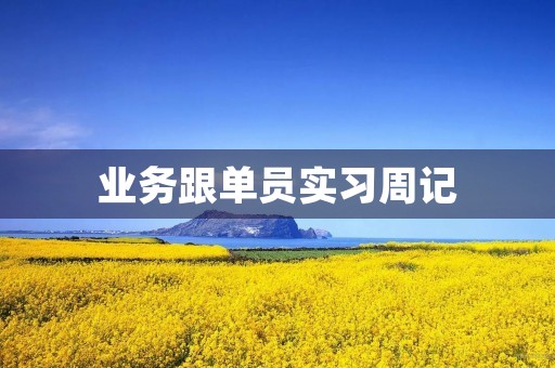 业务跟单员实习周记