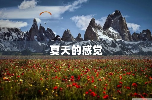 夏天的感觉 夏天的感觉