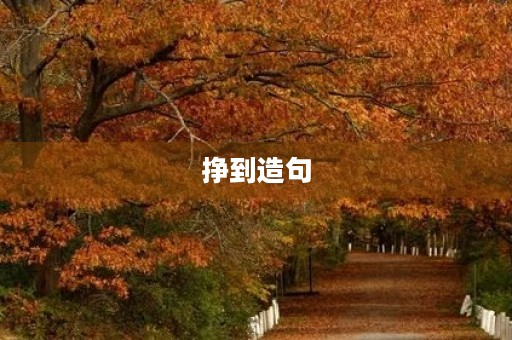 挣到造句 挣到造句