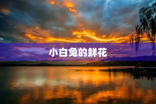 小白兔的鲜花 小白兔的鲜花