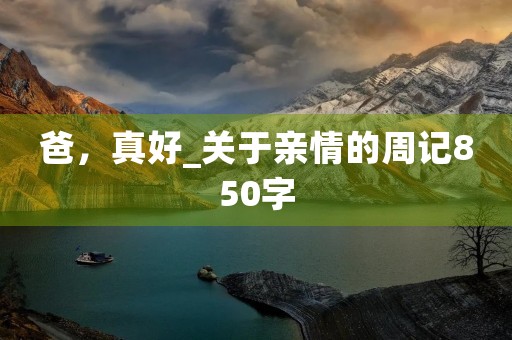 爸，真好_关于亲情的周记850字
