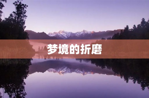 梦境的折磨 梦境的折磨