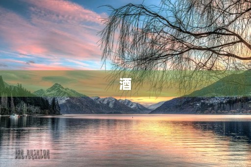 酒 酒