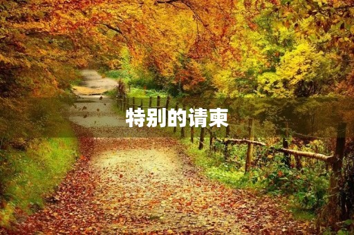特别的请柬 特别的请柬