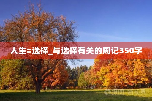 人生=选择_与选择有关的周记350字 人生=选择_与选择有关的周记350字