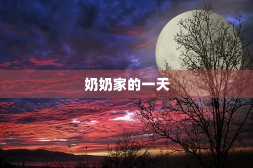 奶奶家的一天 奶奶家的一天