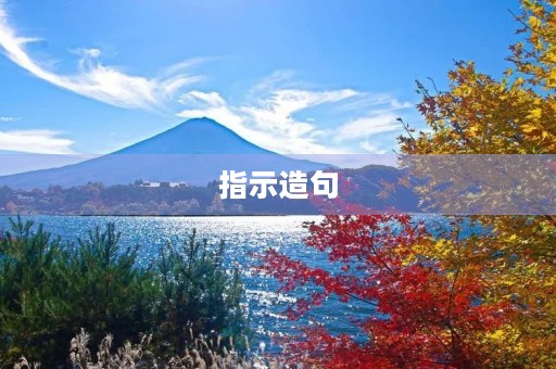 指示造句