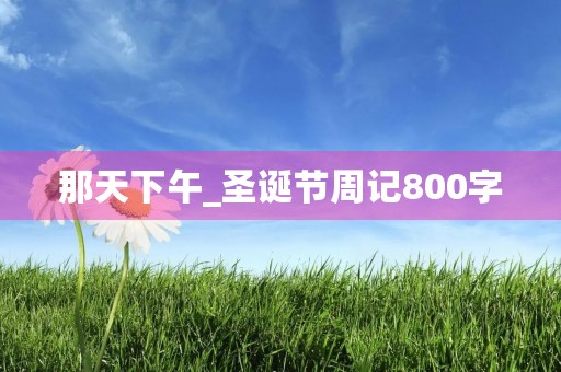 那天下午_圣诞节周记800字 那天下午_圣诞节周记800字