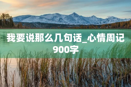 我要说那么几句话_心情周记900字