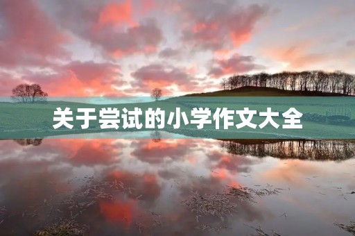 关于尝试的小学作文大全