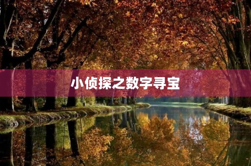 小侦探之数字寻宝 小侦探之数字寻宝
