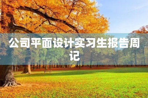 公司平面设计实习生报告周记