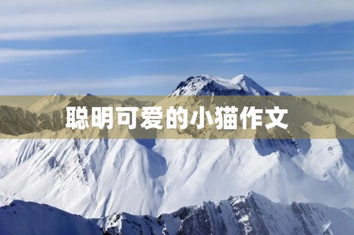 聪明可爱的小猫作文 聪明可爱的小猫作文