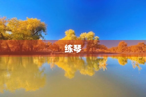 练琴