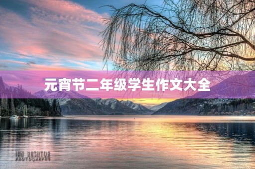 元宵节二年级学生作文大全 元宵节二年级学生作文大全