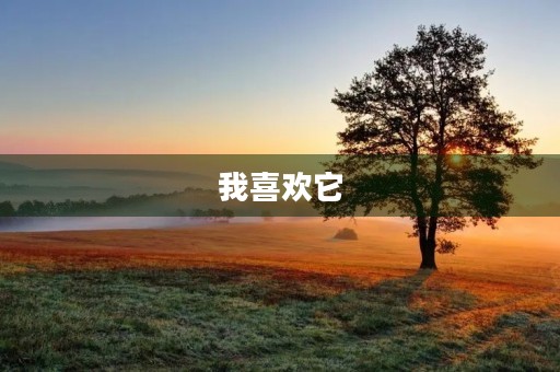 我喜欢它 我喜欢它