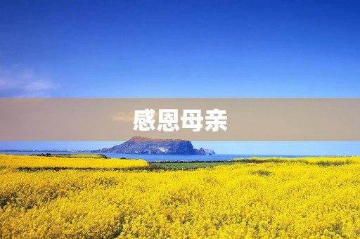 感恩母亲 感恩母亲
