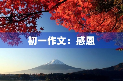 初一作文:感恩 初一作文:感恩