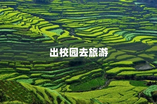 出校园去旅游 出校园去旅游