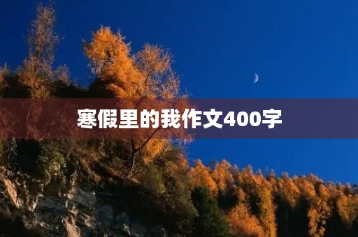 寒假里的我作文400字 寒假里的我作文400字