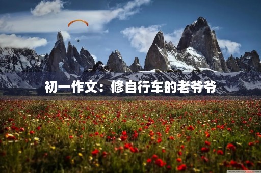 初一作文：修自行车的老爷爷