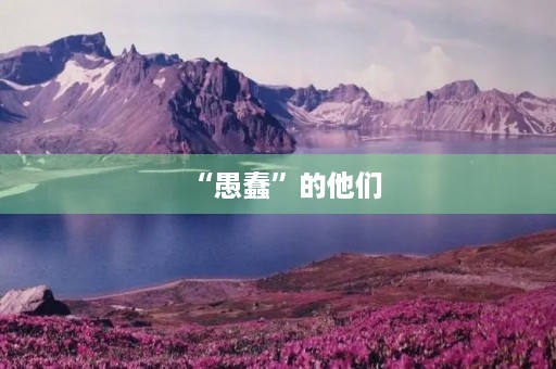 “愚蠢”的他们