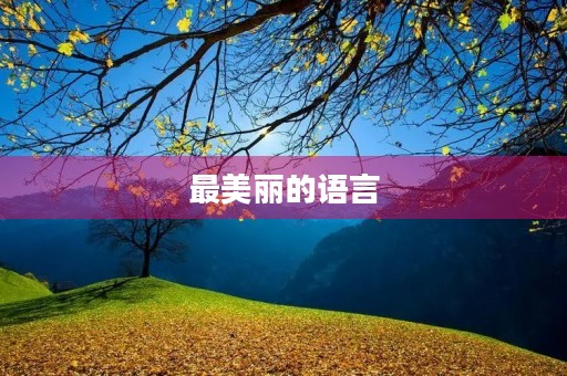 最美丽的语言 最美丽的语言