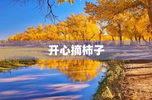 开心摘柿子