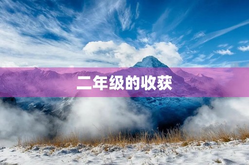 二年级的收获