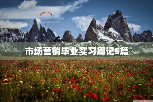 市场营销毕业实习周记5篇 市场营销毕业实习周记5篇