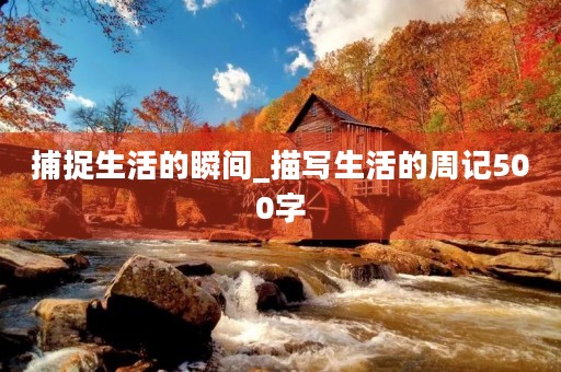 捕捉生活的瞬间_描写生活的周记500字 捕捉生活的瞬间_描写生活的周记500字