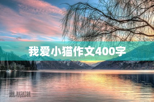 我爱小猫作文400字 我爱小猫作文400字