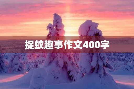 捉蚊趣事作文400字 捉蚊趣事作文400字