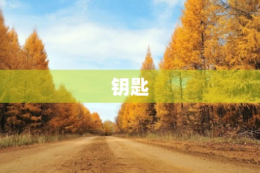钥匙