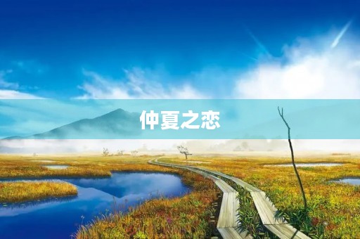 仲夏之恋