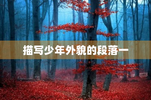 描写少年外貌的段落一 描写少年外貌的段落一