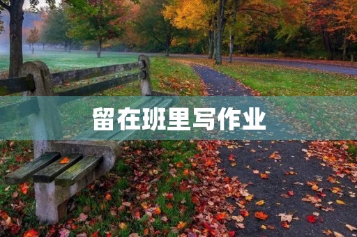 留在班里写作业