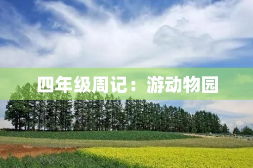 四年级周记：游动物园